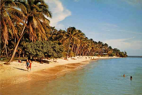 coral view fiji