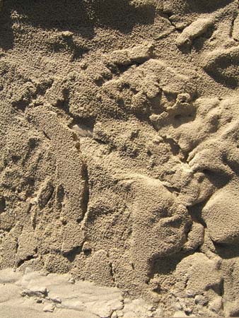 25.Sandforms