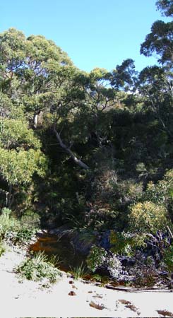 28.Waterhole behind beach