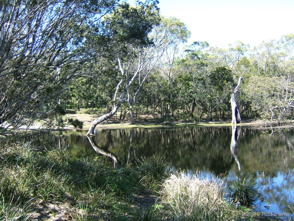  2.Creekbehindbeach