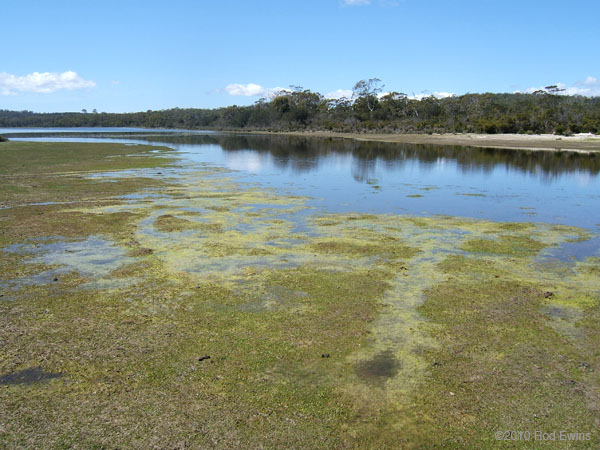 17.Marsh&lagoon